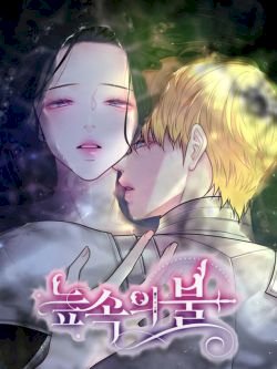 Fuego En El Pantano +18